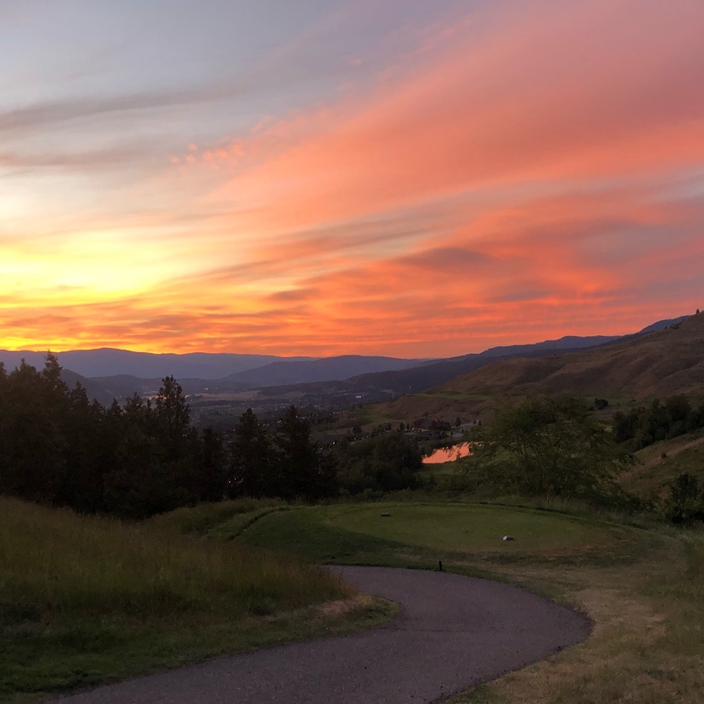 Meet your Posher, Lynn